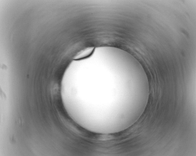 X0000091240087200708091138