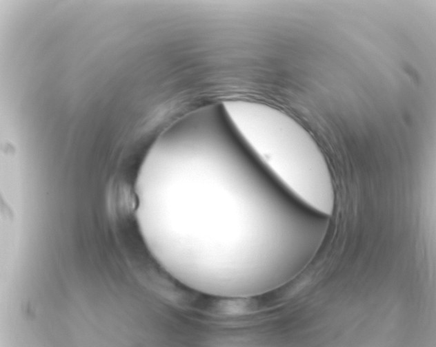 X0000091240089200708091138