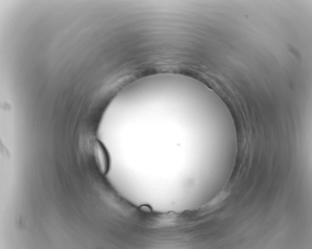 X0000091240090200708091138