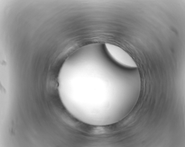 X0000091240091200708091138