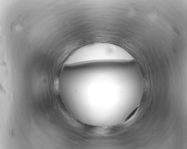 X0000091240094200708091139