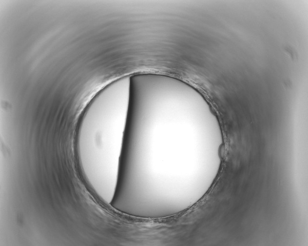X0000091240098200708091138