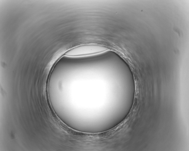 X0000091240099200708091138