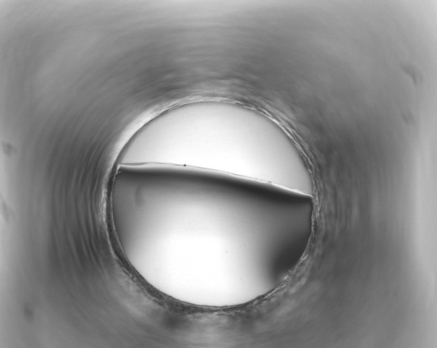 X0000091240100200708091138