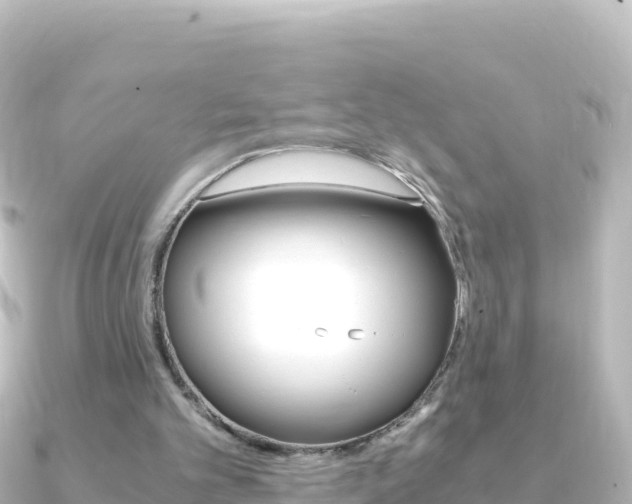 X0000091240101200708091138