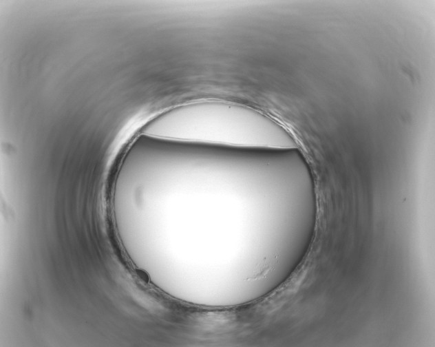 X0000091240102200708091138