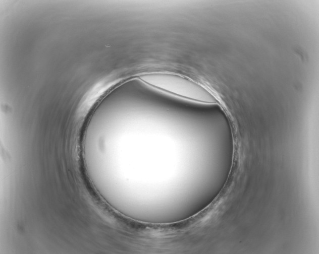 X0000091240103200708091138