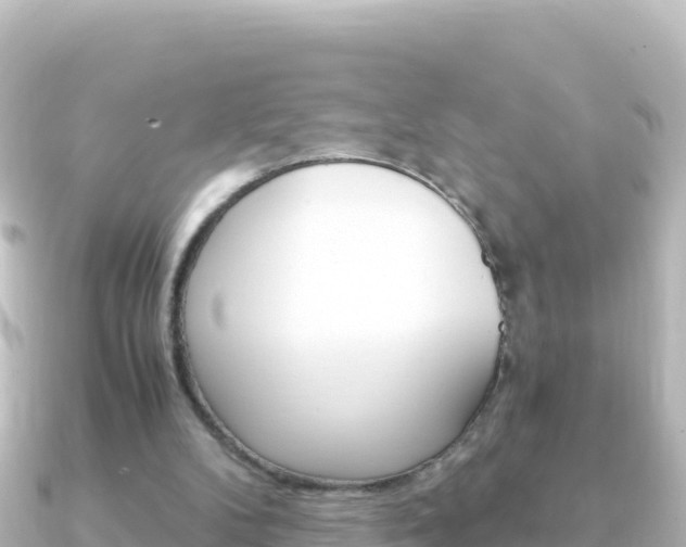 X0000091240104200708091138