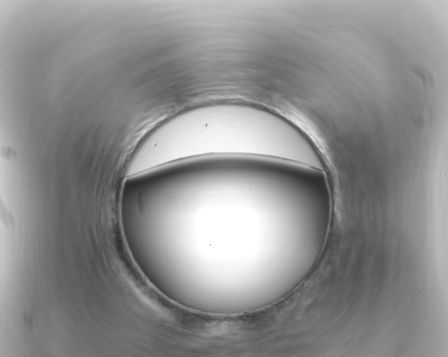 X0000091240105200708091138