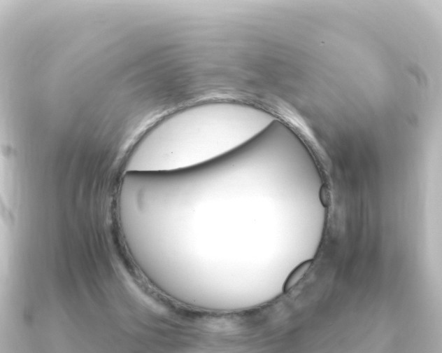 X0000091240106200708091138