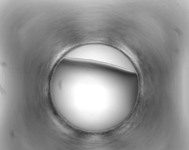 X0000091240107200708091138