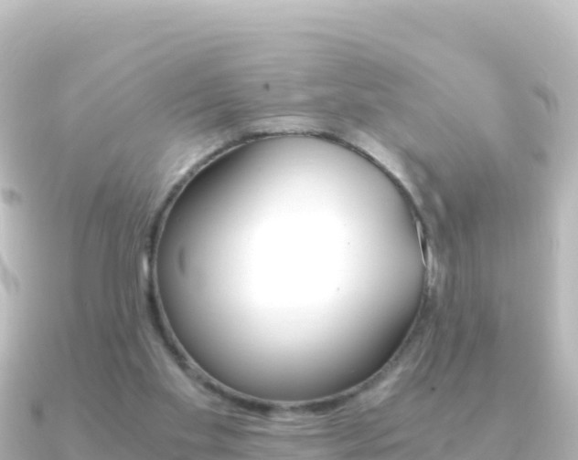 X0000091240109200708091138