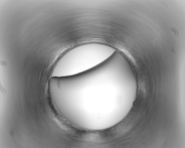 X0000091240110200708091138