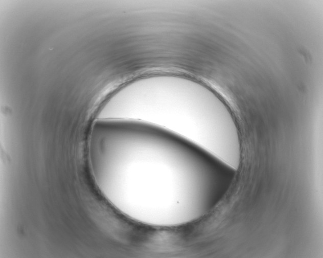 X0000091240111200708091138