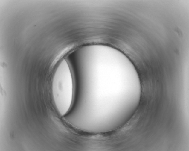 X0000091240112200708091138