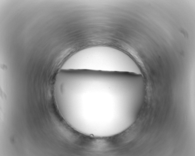 X0000091240114200708091138