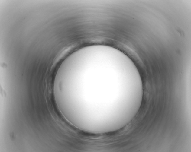 X0000091240116200708091138