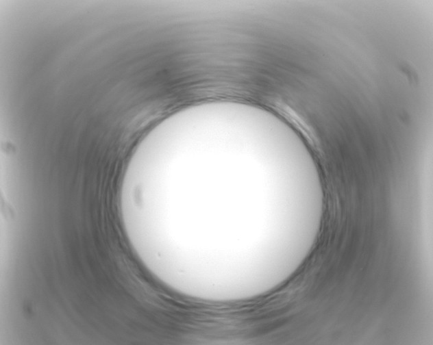 X0000091240117200708091138