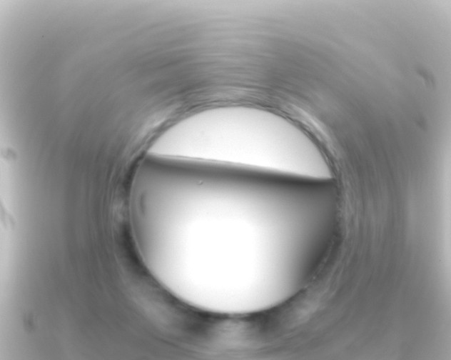X0000091240119200708091138
