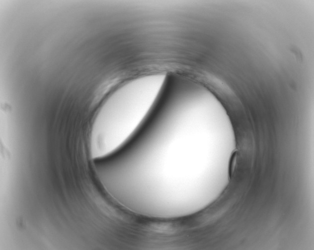 X0000091240120200708091138