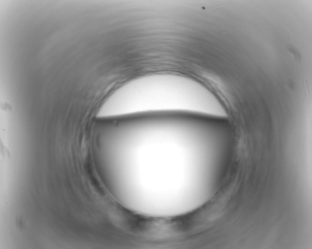 X0000091240121200708091138