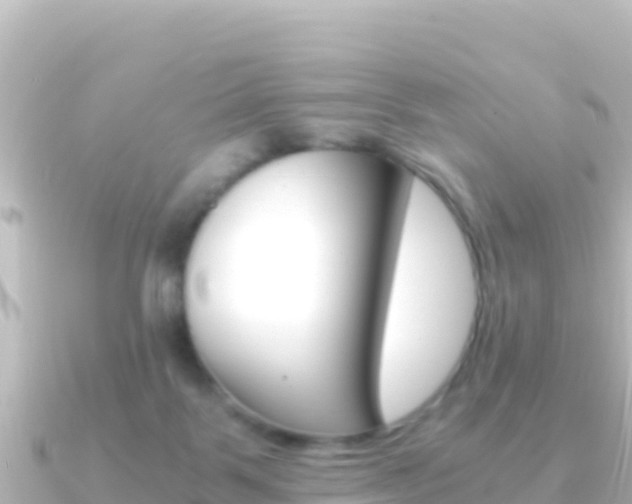 X0000091240123200708091138