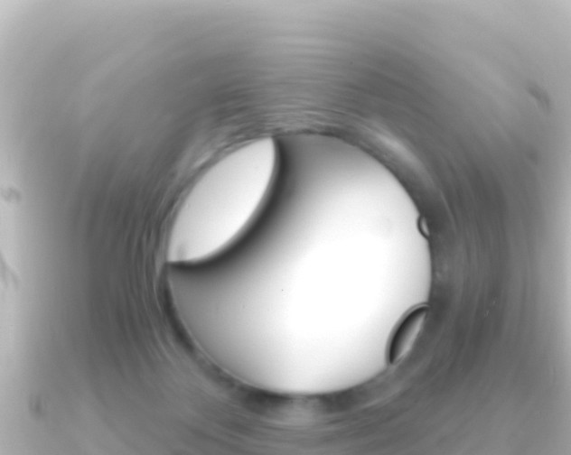 X0000091240124200708091138