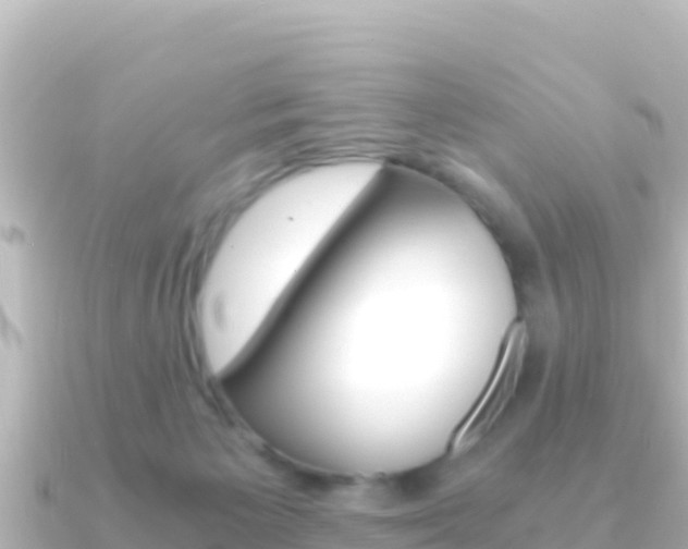 X0000091240125200708091138