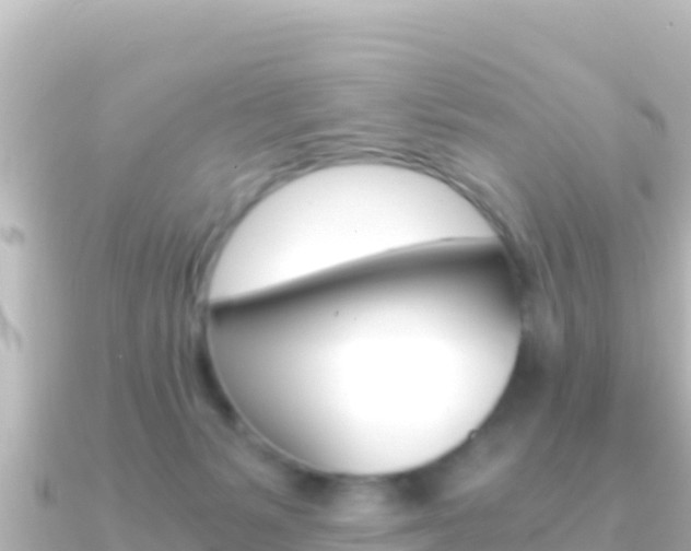 X0000091240127200708091138