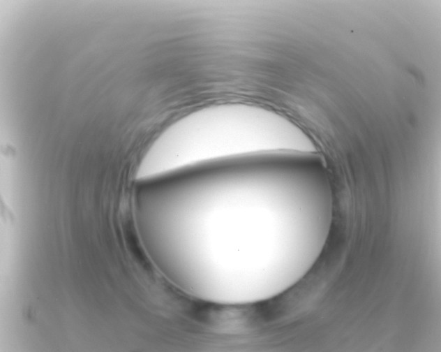 X0000091240129200708091138