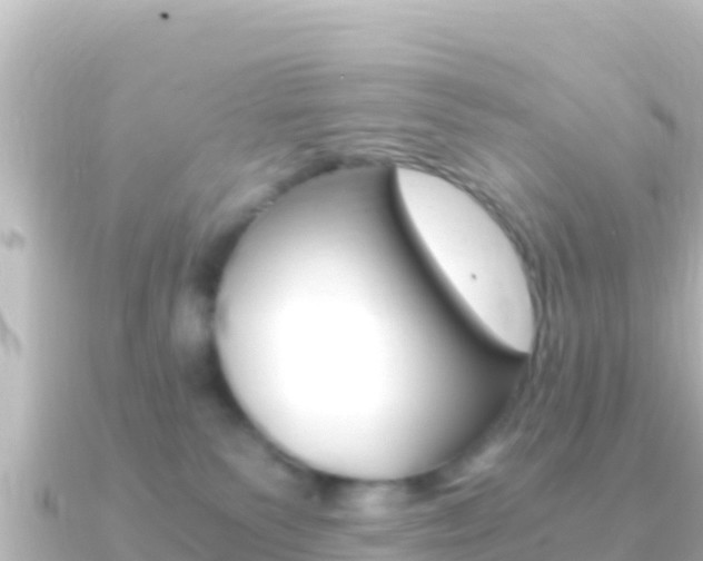 X0000091240135200708091138