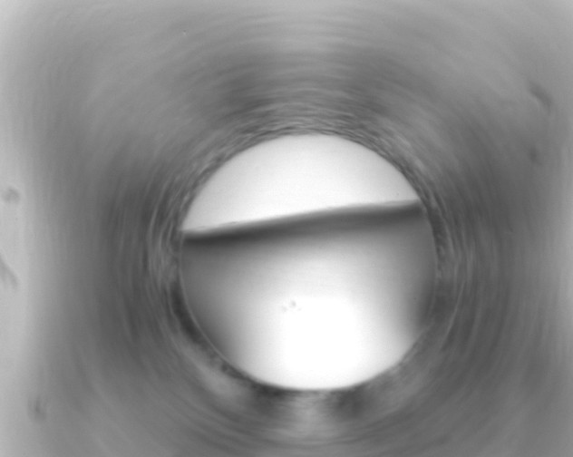 X0000091240136200708091138