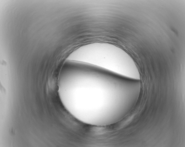 X0000091240139200708091138