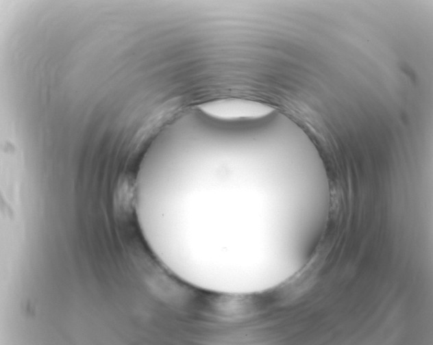 X0000091240142200708091137