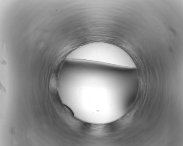 X0000091240143200708091137