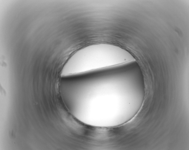 X0000091240144200708091137