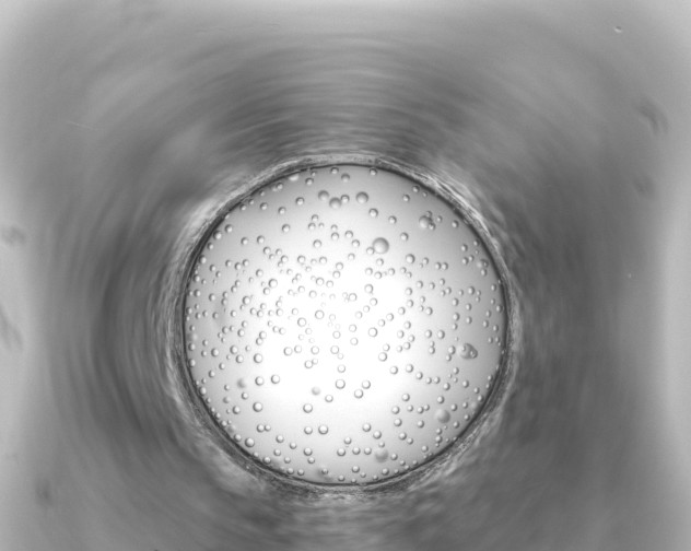 X0000091240145200708091137