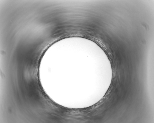 X0000091240146200708091137