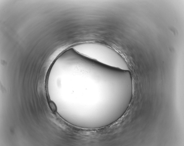X0000091240147200708091137