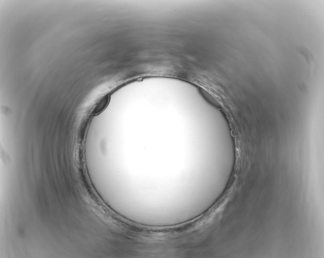X0000091240149200708091137