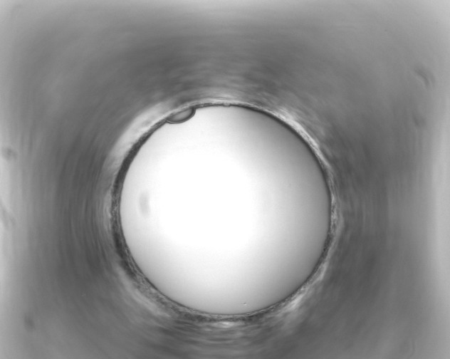 X0000091240151200708091137