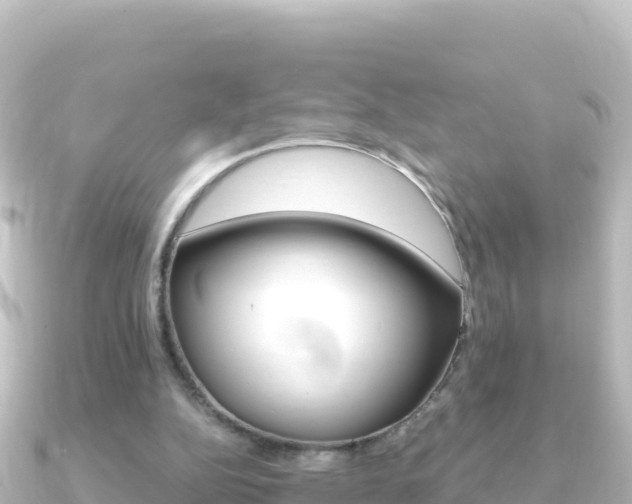 X0000091240152200708091137
