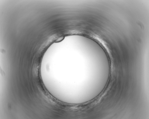 X0000091240153200708091137