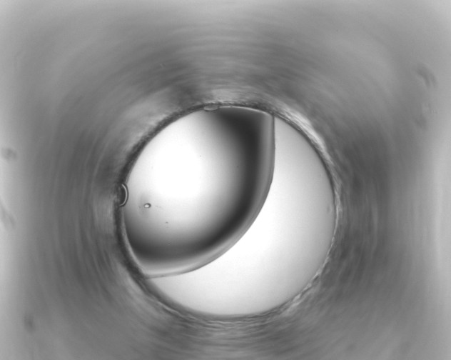 X0000091240154200708091137