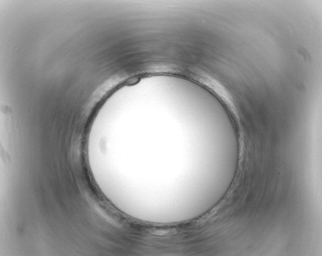 X0000091240155200708091137