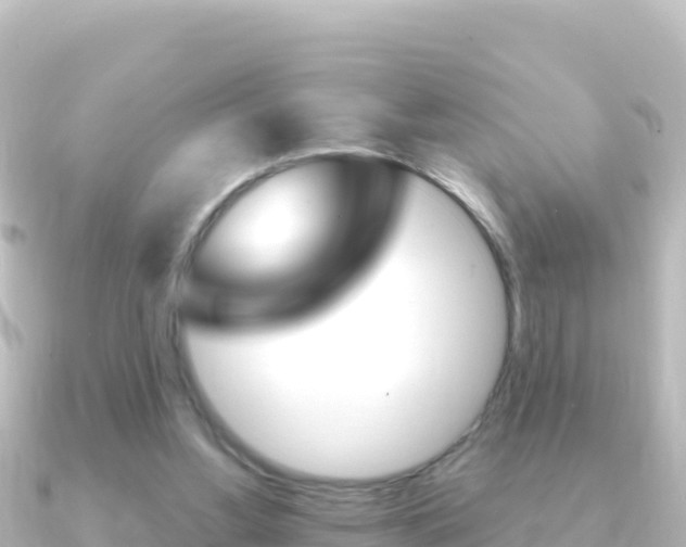 X0000091240156200708091137