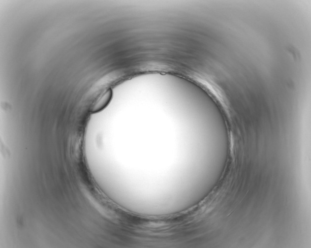 X0000091240157200708091137