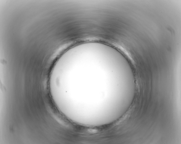 X0000091240159200708091137