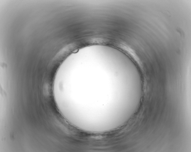 X0000091240161200708091137