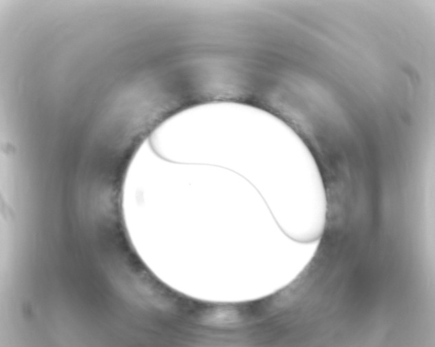 X0000091240162200708091137